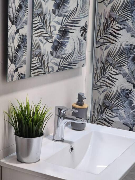 Apartmán Piso De Diseno Elche Exteriér fotografie