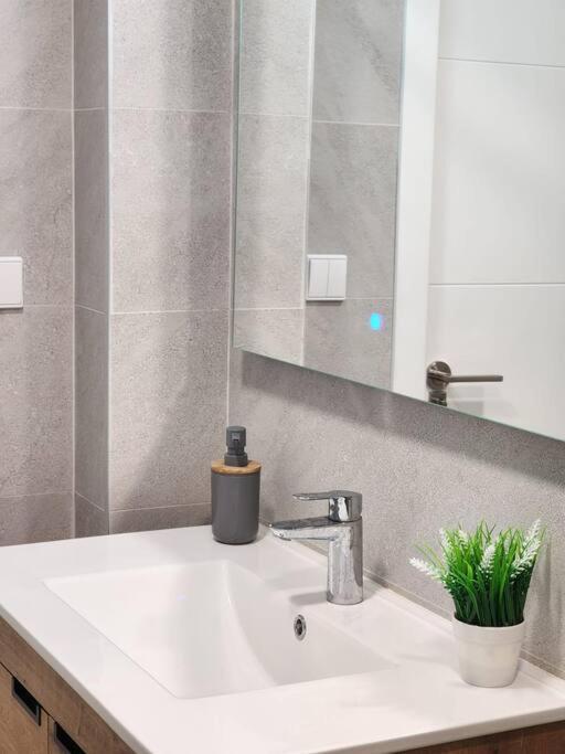 Apartmán Piso De Diseno Elche Exteriér fotografie